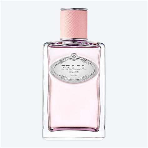 prada rose perfume men|infusions de Prada rose.